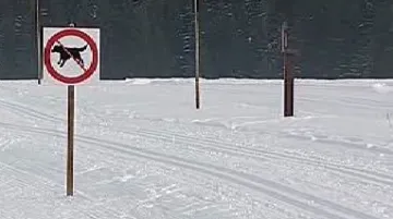 Značka u běžecké stopy