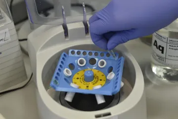 Britský investor vstupuje do české reprodukční medicíny, jde o transakci za miliardy