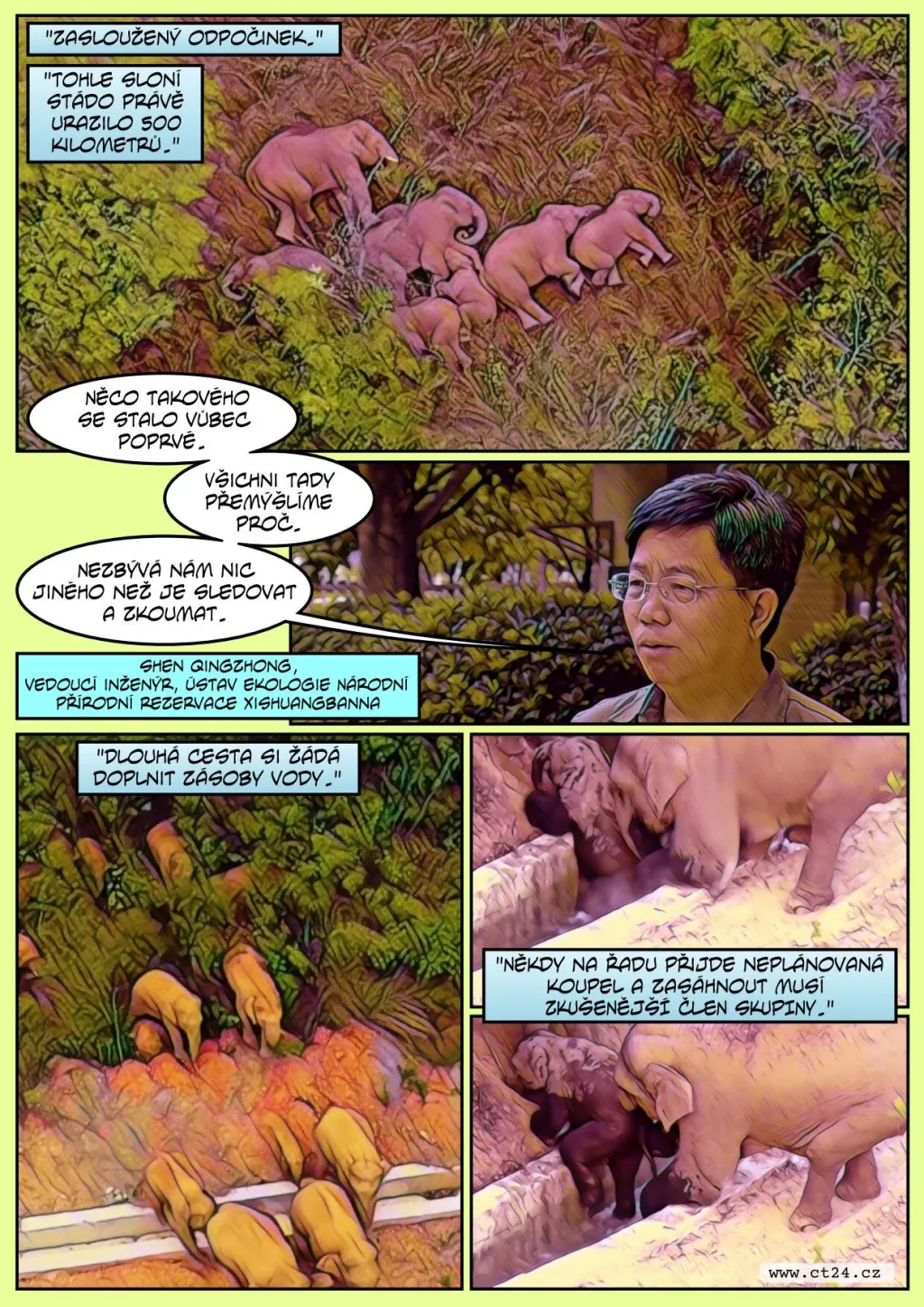 Sloní stádo je v Číně na cestě