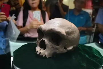 Vědci zřejmě objevili neznámý druh pravěkého člověka. Dračí muž by mohl být bližším příbuzným než neandertálci