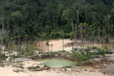 Amazonský prales umírá a mění se na savanu. V ohrožení jsou i další deštné lesy