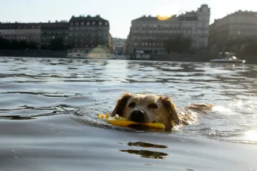 Denní teploty zůstanou o víkendu nad třicítkou. Meteorologové varují před požáry
