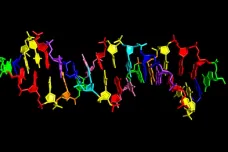 Vědci vytvořili „mimozemskou“ DNA, místo čtyř písmen jich má osm