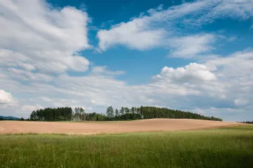 Na víkend se oteplí a vyjasní, teploty se vrátí ke třiceti stupňům