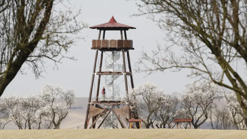 Rozhledna v mandloňových sadech