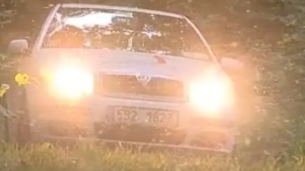 Komáří kalamita