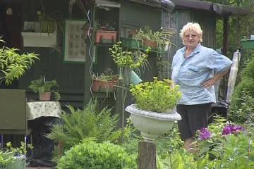 Radní chtějí rozšířit park na Kraví hoře. Na úkor zahrádkářů