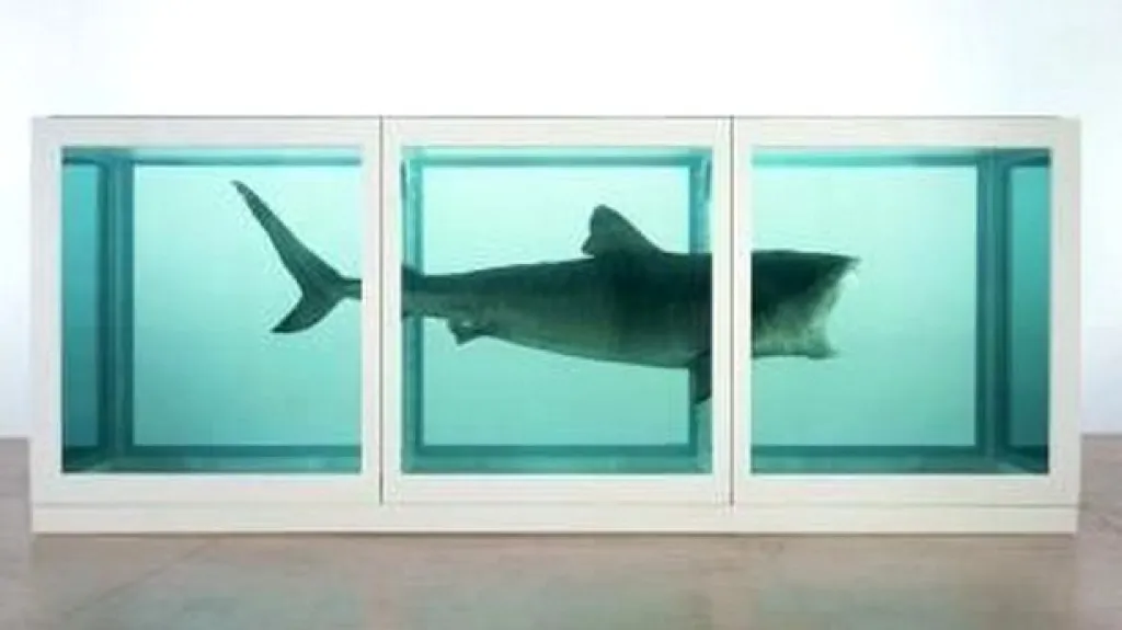 Dílo Damiena Hirsta