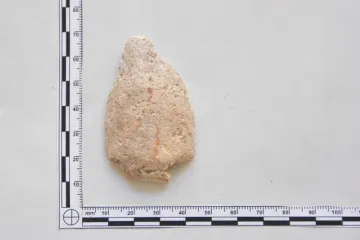 Amatérský archeolog objevil na návrší Pardědub pravěkou lokalitu starou 20 tisíc let