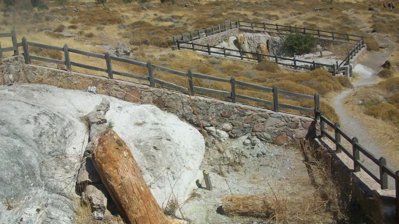 Zkamenělý les na ostrově Lesbos