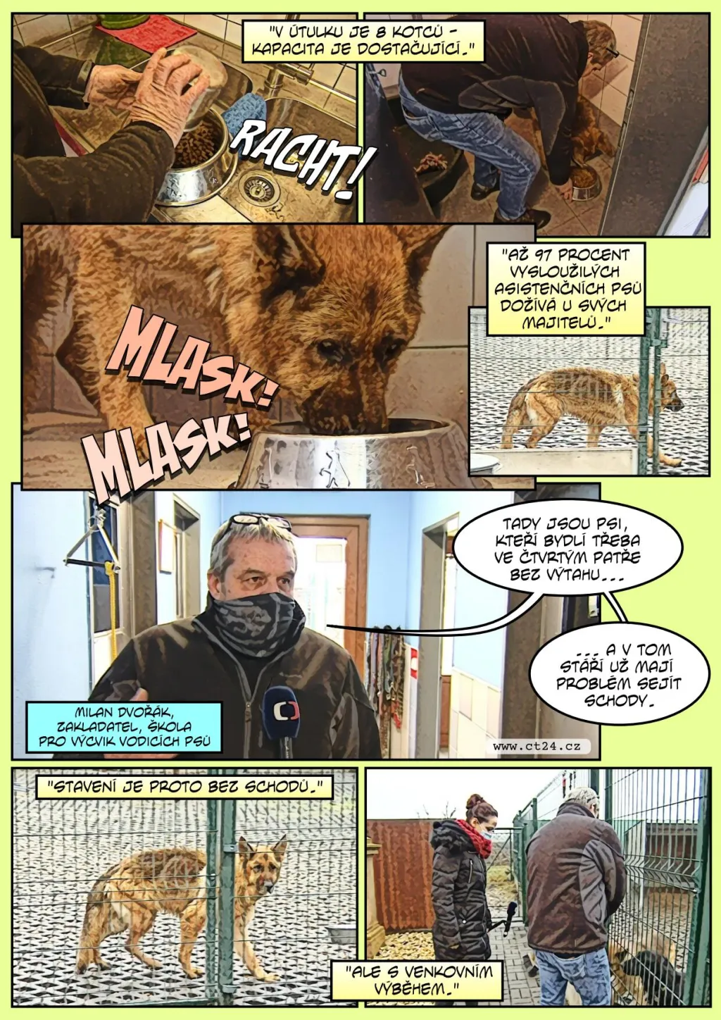V „penzionu“ pro vysloužilé vodicí psy o ně pečuje jejich dlouholetý trenér