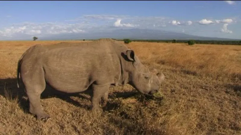 Reportáž lenky Drmotové a Václava Svobody