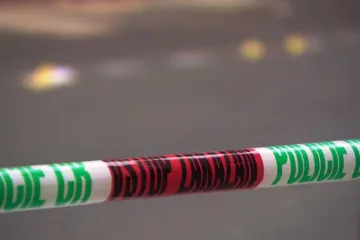 Policie obvinila chovatele psů, kteří usmrtili chlapce. Viní i otce dítěte