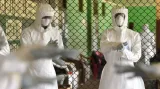 Pavel Gruber k epidemii eboly