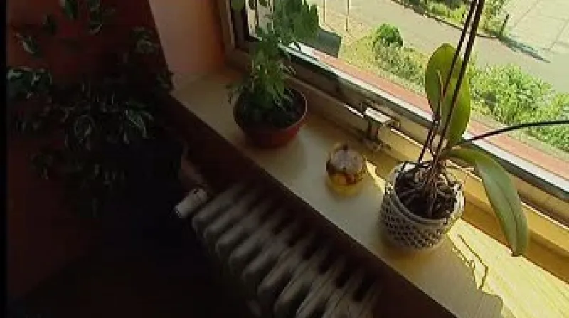 O výměnu obecního bytu požádali rodiče těžce nemocného Filipa v Karolince na Vsetínsku, jejich syna tam ohrožuje plíseň.