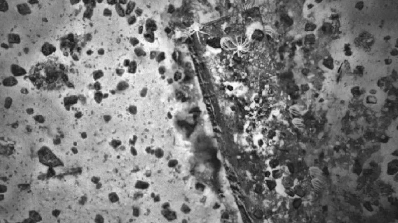 Pátrači našli místo MH370 vrak nákladní lodě