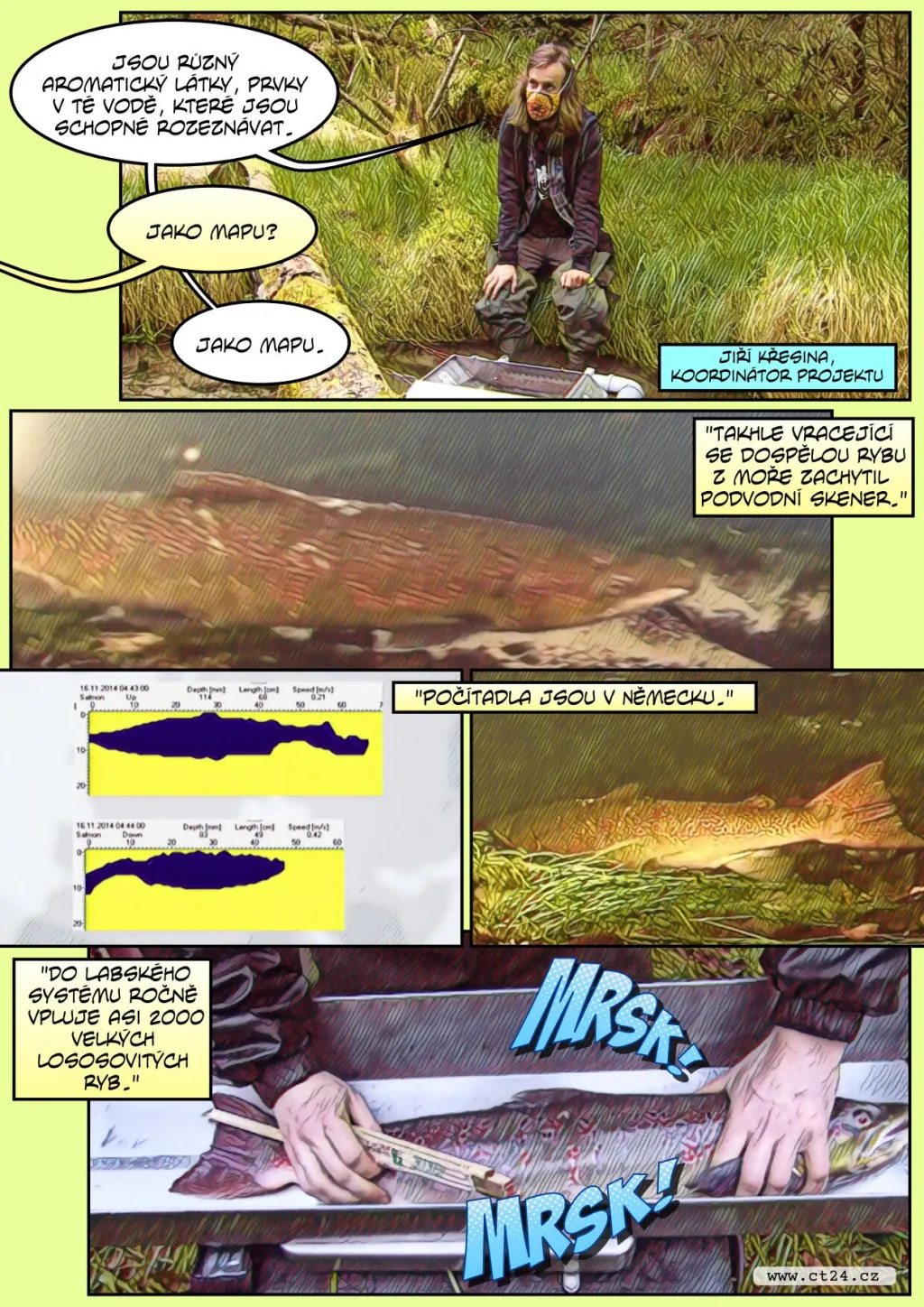 Nové přechody pro lososy