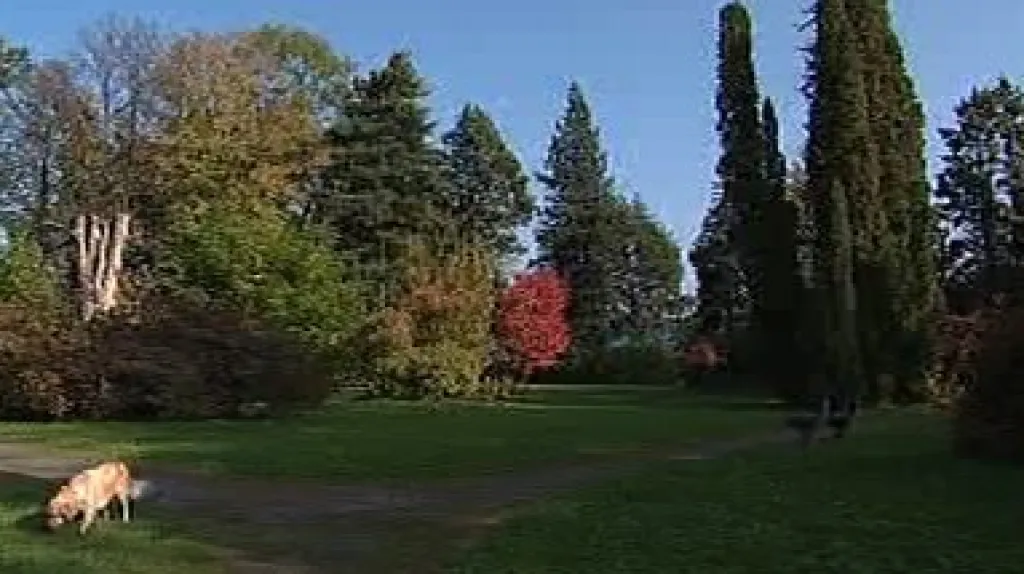 Chářovský park