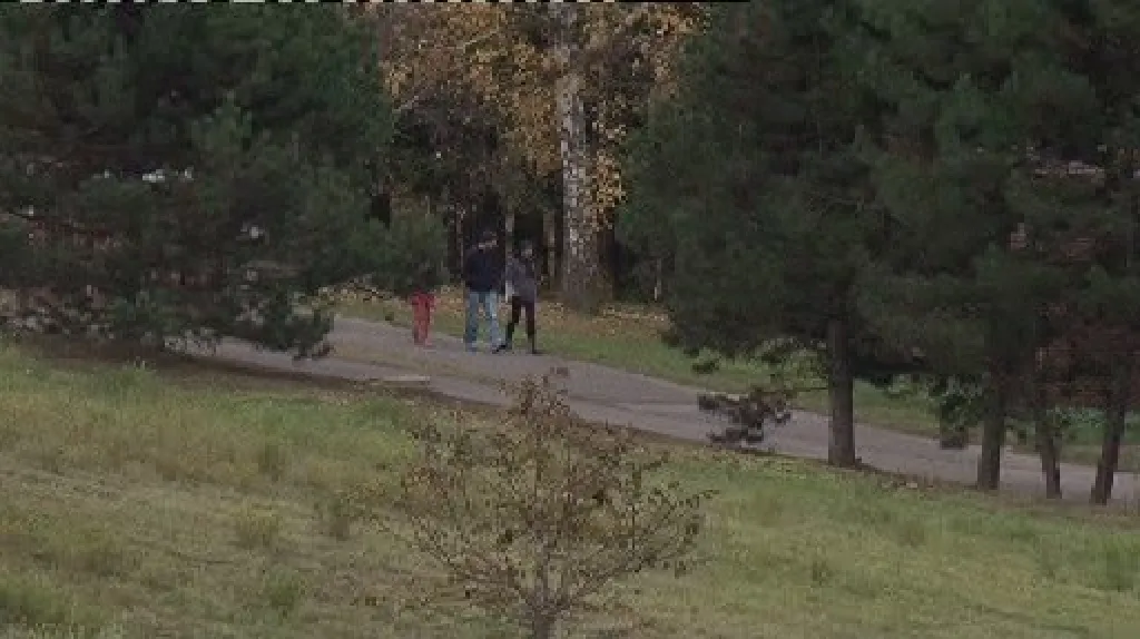 Turisté v brněnském lese