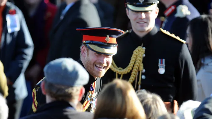 Princ Harry se zúčastnil Dne válečných veteránů.