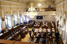 Opozice podkopává kroky kabinetu k zajištění bezpečnosti země, řekl Fiala ve sněmovně. Babiš odmítl, že nepodporoval Ukrajinu