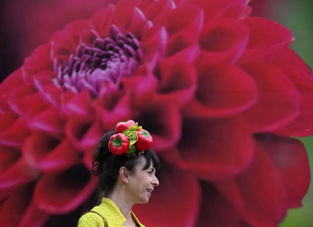 Přehlídka pěstitelů květin, floristů a aranžérů Chelsea Flower Show v Londýně nabízí milovníkům zahrad tu nejzajímavější podívanou ve Velké Británii