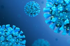 WHO očekává, že v létě bude v Evropě velký počet nakažených koronavirem