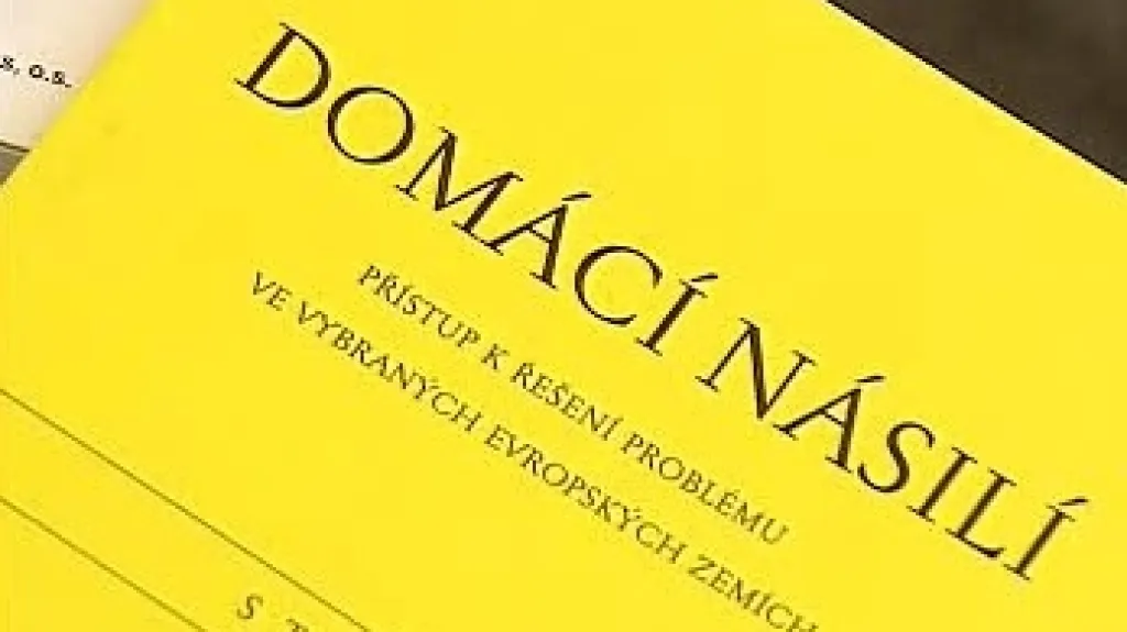 Domácí násilí
