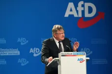 AfD bude o volebních lídrech hlasovat v referendu. Rozhodnutí padne v létě, tvrdí Bild