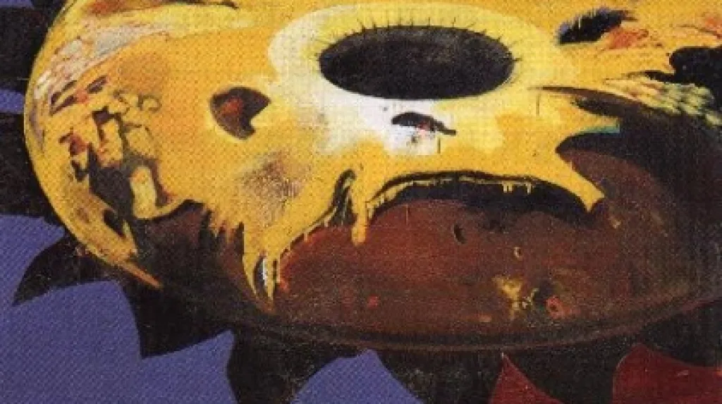 Slunečnice se sluncem