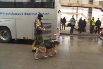 Policisté hledali na jižní Moravě nelegální imigranty