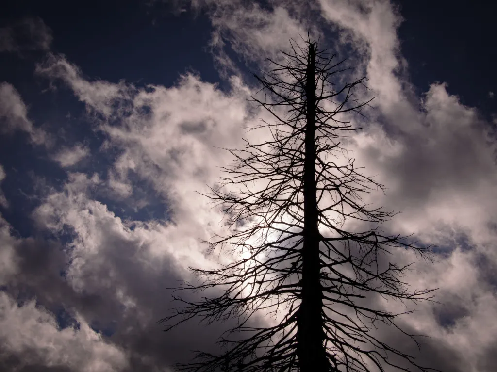 V údolí řeky Jizerky se také nachází „rezervace tmy“, zřízená pro širokou veřejnost, aby informovala o světelném zněčištění. V Jizerce není ani veřejné osvětlení. Chráněná oblast tmavé oblohy zaujíma 75 čtverečních kilometrů