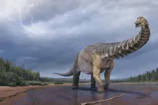 V Austrálii objevili největšího dinosaura kontinentu. Měl rozměry basketbalového hřiště