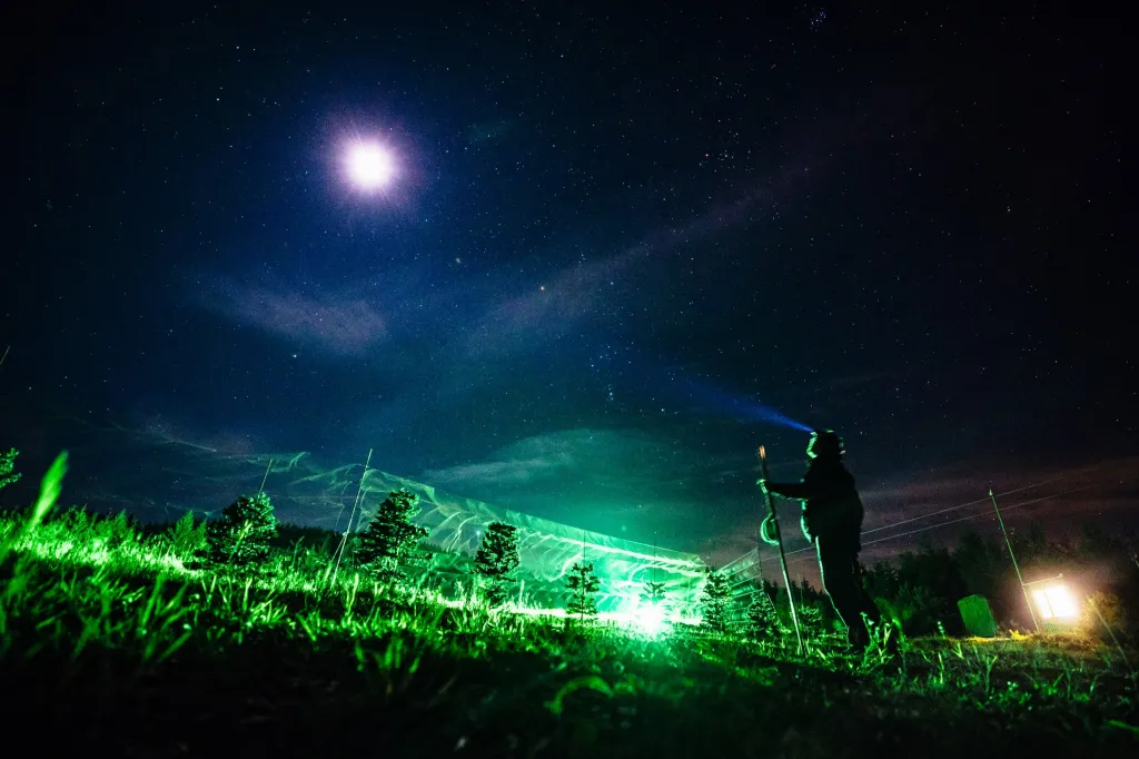 Posledním z trojice nominovaných je Petr Topič za soubor fotografií „Ptačí hlídka“