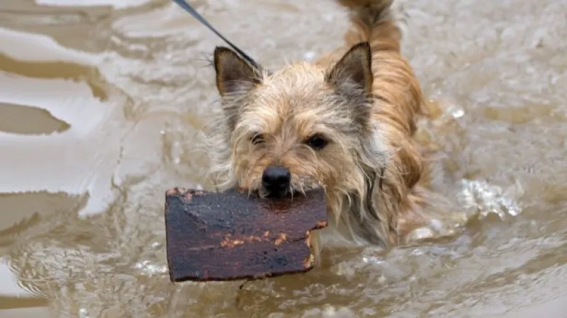 Rozhovor se zoologem Pavlem Stopkou
