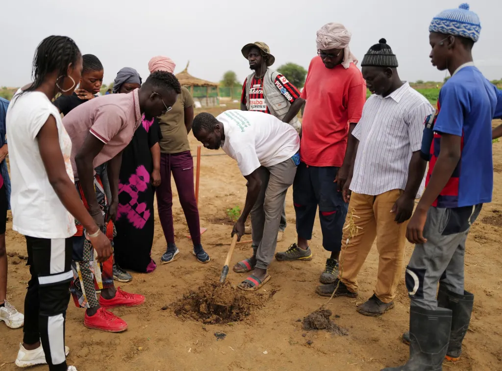 V Senegalu vznikají kruhové zahrady zvané Tolou Keur. Mají zabránit rozšiřování pouště a zabezpečit větší soběstačnost obcím