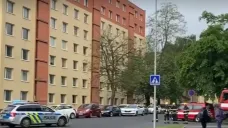 Policejní zásah v Litvínově