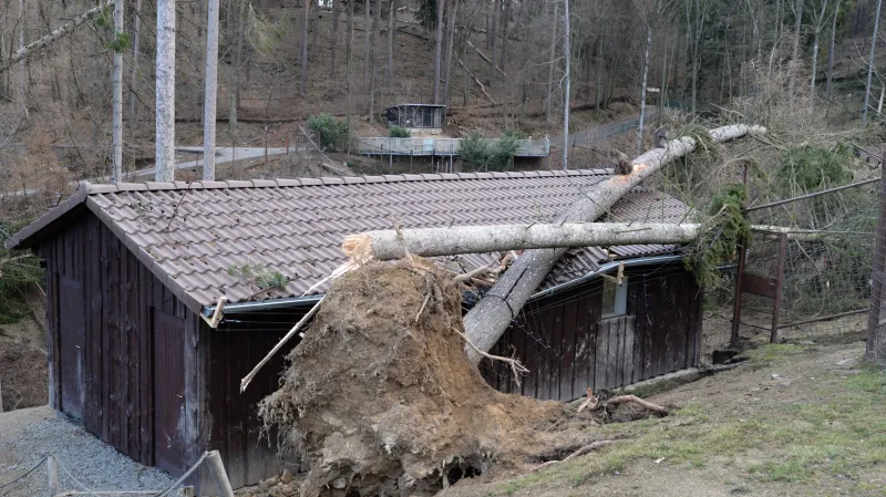 Poškozený výběh makaků