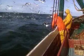 Světovému rybolovu hrozí kolaps