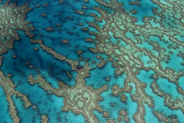 Velký bariérový útes má šanci na přežití, je však třeba snížit emise