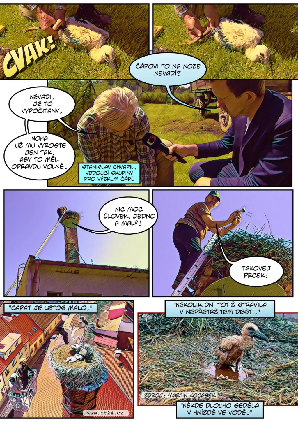 Silné deště nesvědčí zahnízděným čápům