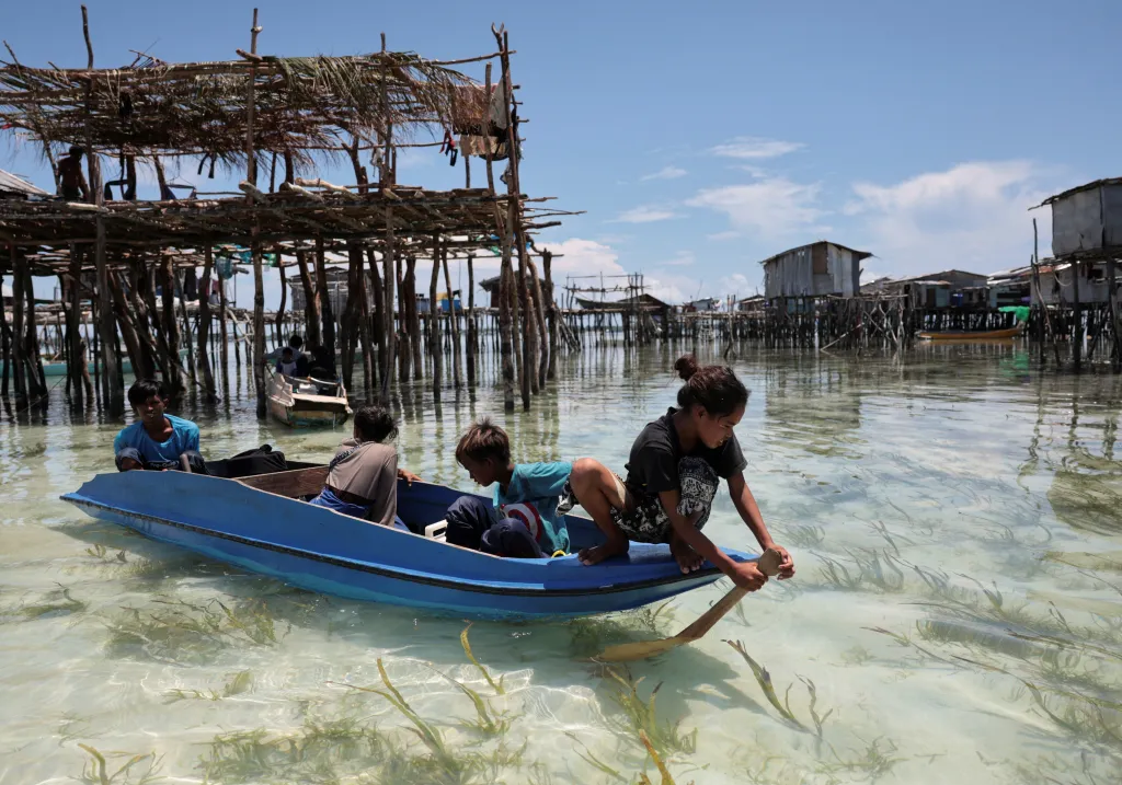 Asi pětina z 28 tisíc členů Bajau Laut jsou podle vlády občané Malajsie. Analytici se ale domnívají, že číslo může být vyšší