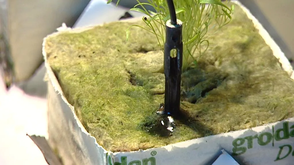 Growshop