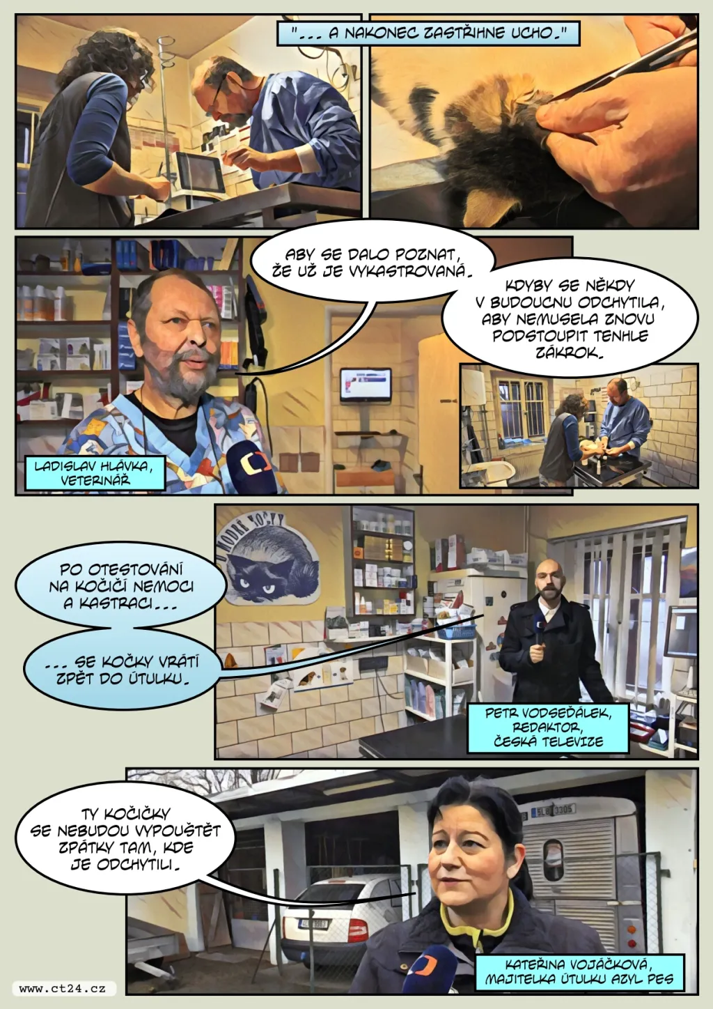 Ve Frýdlantu se přemnožily toulavé kočky