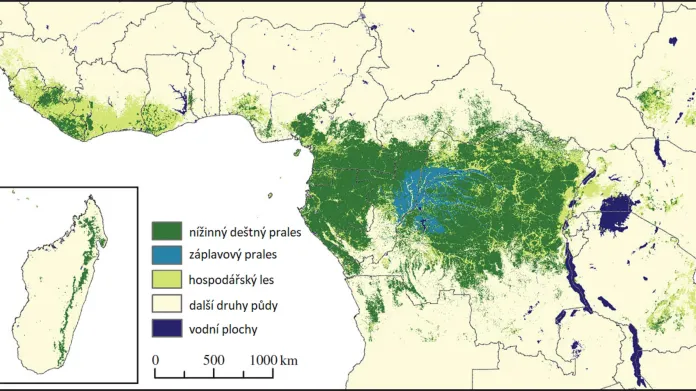 Les ve střední Africe