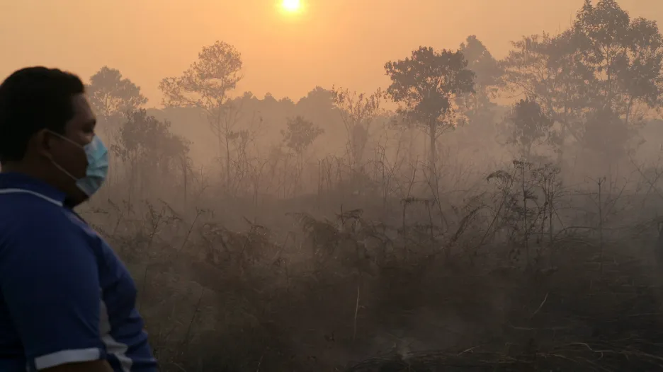 Vypalování lesů způsobilo smogovou pohromu v Singapuru