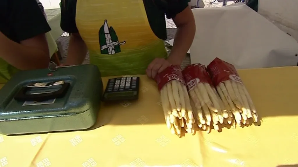 Slavnosti chřestu v Ivančicích