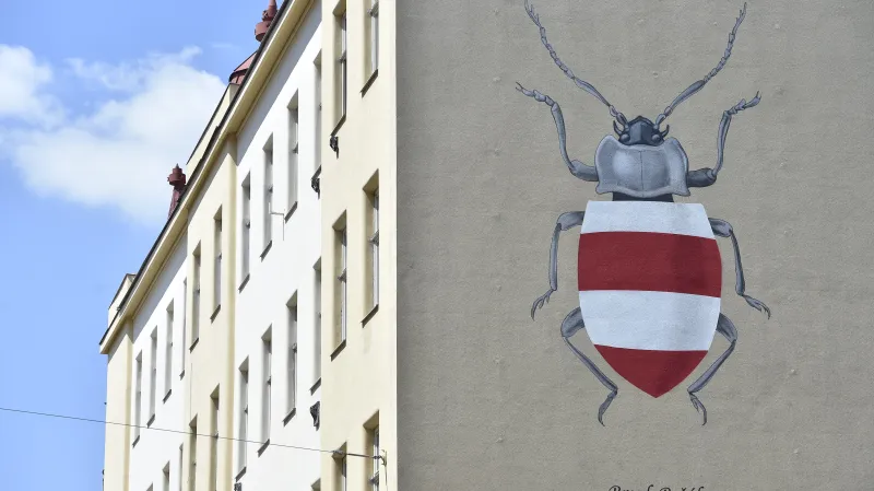 Brouk Brňák od streetartového umělce Tima