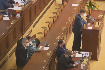 Poslanci poslali do druhého čtení sňatky homosexuálů i návrh na ústavní zakotvení svazku muže a ženy