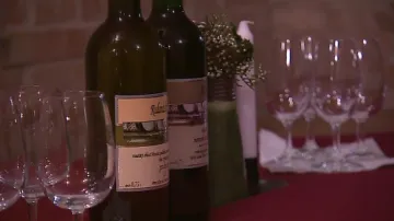 Silvestr ve sklípku stojí 1 000 až 1 500 korun
